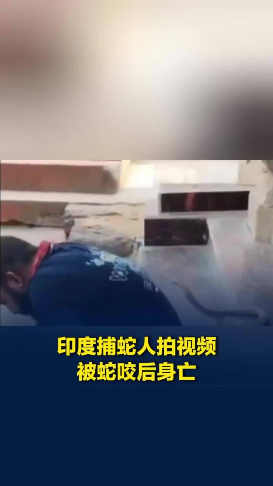 印度捕蛇人为拍视频招惹眼镜蛇接连被咬三口，执意离开医院，当天病情恶化抢救无效离世