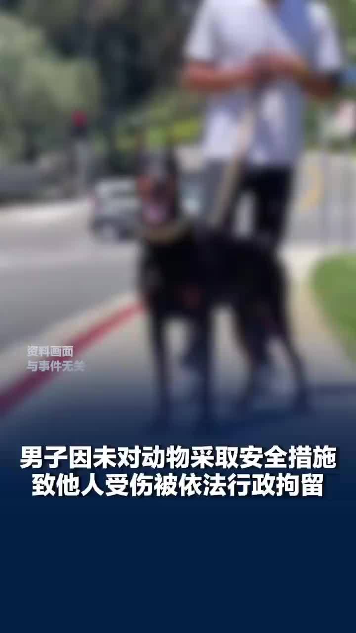 饲主因杜宾犬伤人被行拘7日