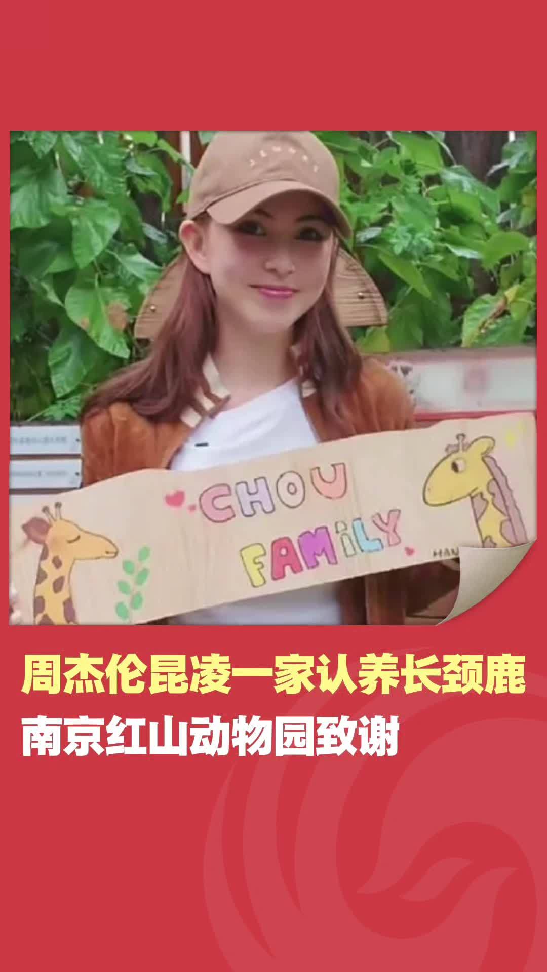周杰伦昆凌一家认养长颈鹿，南京红山动物园致谢 #南京 #南京红山森林动物园 #周杰伦 #昆凌