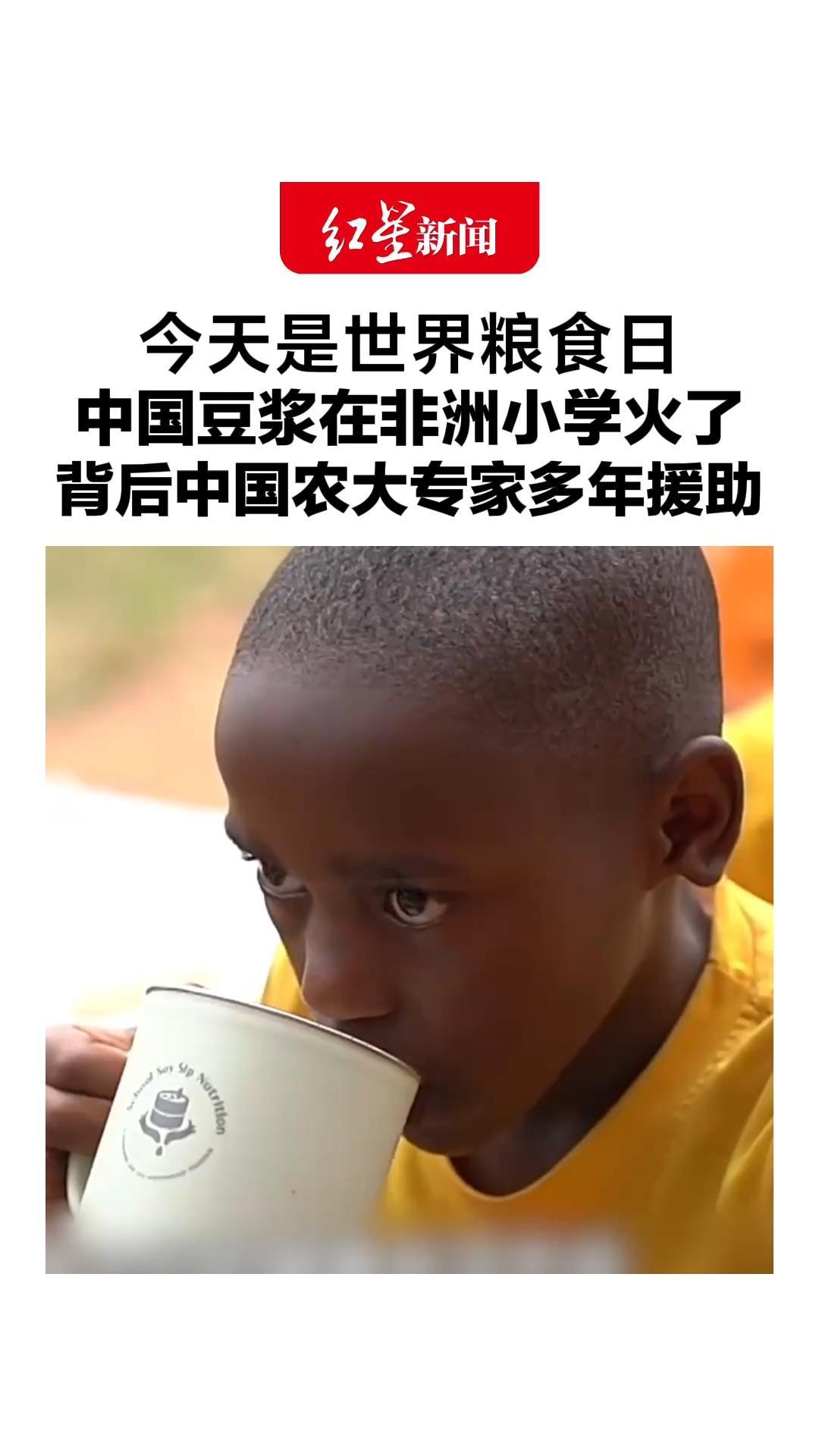 今天是世界粮食日，中国豆浆在非洲小学火了，背后中国农大专家多年援助，2025年全球仍有6.45亿人面临饥饿