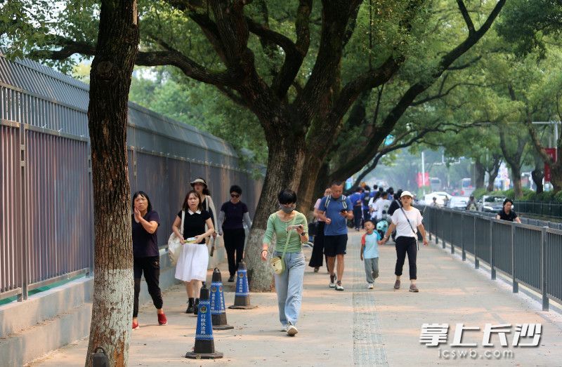 经过精细化升级改造,这条串联校园、景区与街区的重要步道——牌楼路人行道焕然一新。 均为长沙晚报全媒体记者贺文兵摄