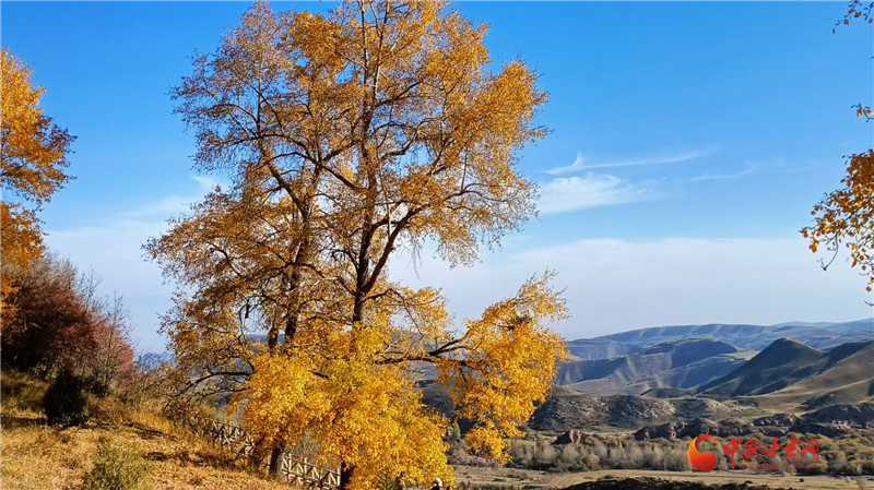 张掖马蹄寺眺望祁连山秋景