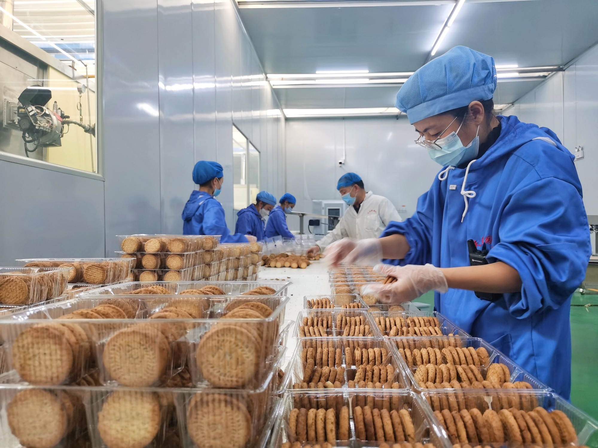 甘肃天润园食品有限责任公司车间内，工人正在包装马铃薯饼干。（民乐县融媒体中心供图）