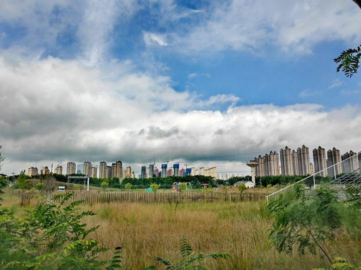 这是2026年7月28日在甘肃省庆阳市董志塬上清水沟边拍摄的庆阳城区高楼。随着城市扩张，城区边缘与塬边距离日益接近。除署名外本组图片均为　张新新　摄