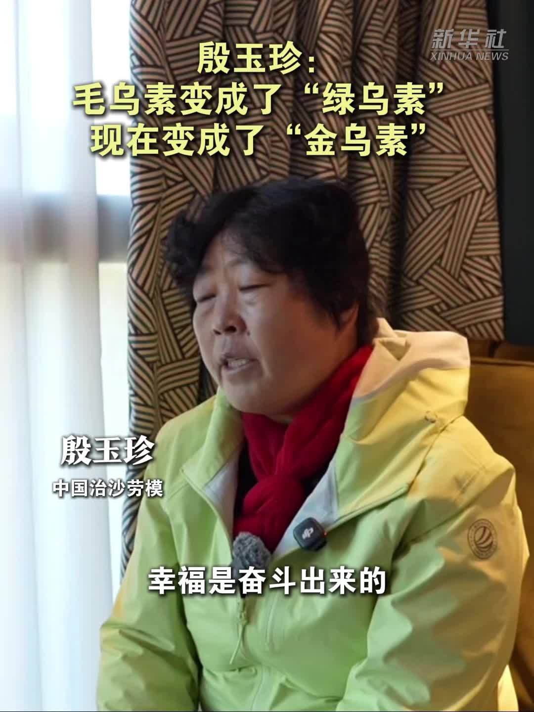 殷玉珍：毛乌素变成了“绿乌素”，现在变成了“金乌素”