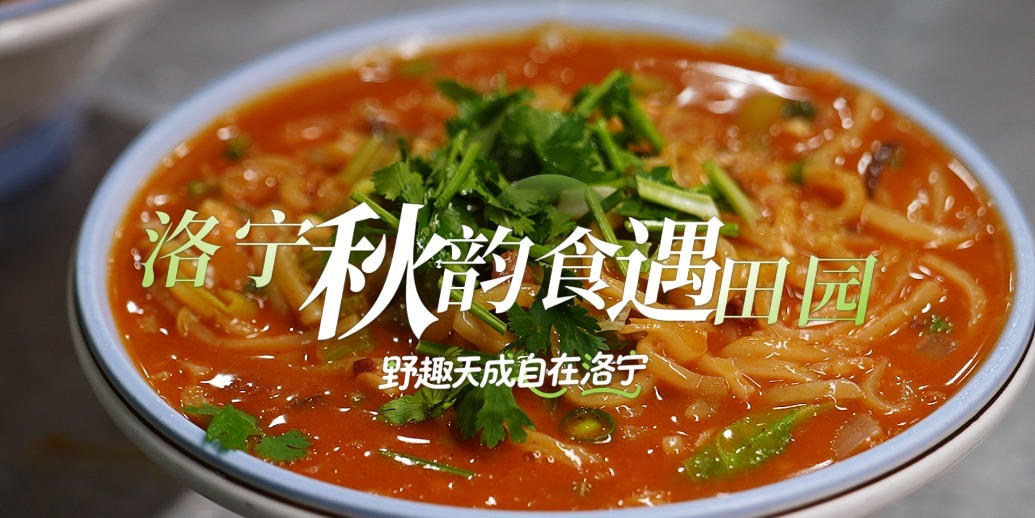 野趣天成 自在洛宁｜ 邂逅秋日洛宁的田园收获与烟火