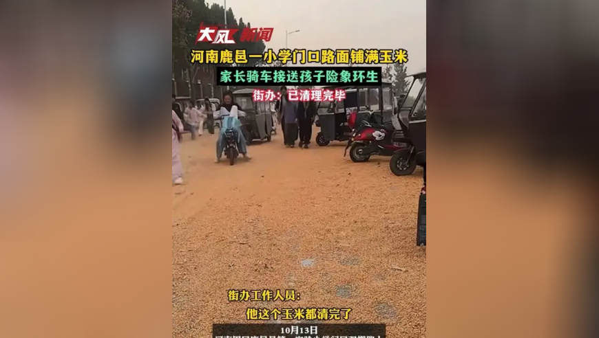 河南鹿邑一小学门口路面铺满玉米，家长骑车接送孩子险象环生；街办：已清理完毕