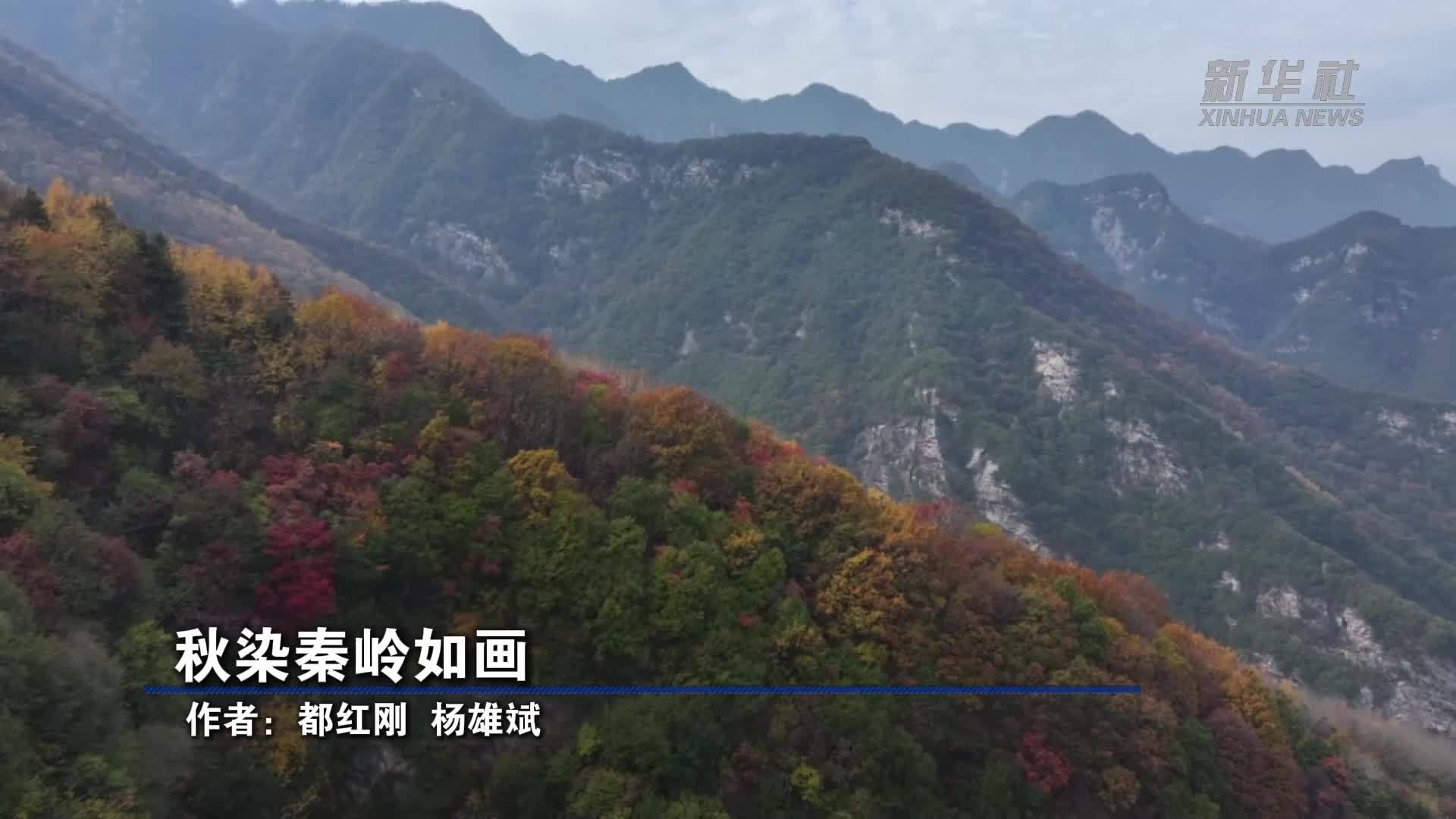 秋染秦岭如画