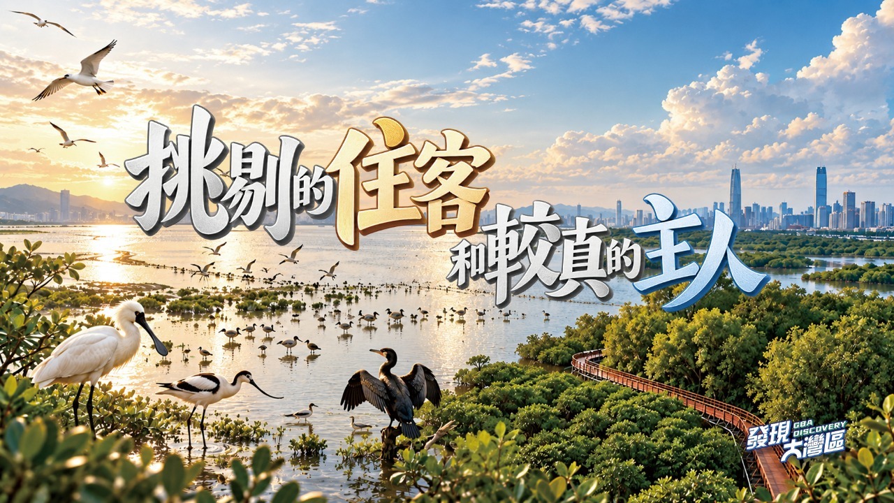 挑剔的住客和较真的主人