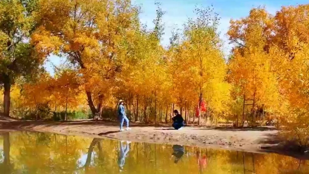 特色赏秋引客来　文旅消费添活力