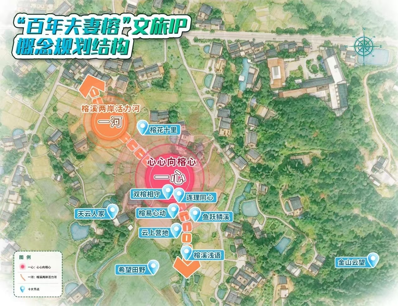 夫妻榕相守 连理桥同心！登云“百年夫妻榕”文旅IP正式启幕