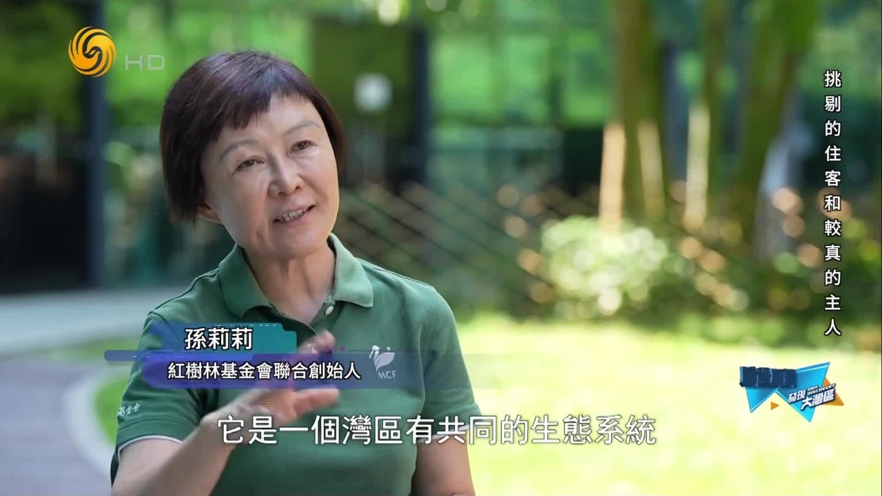 同一片海湾，两边的动物来来往往，深圳和香港的保护工作怎样衔接？