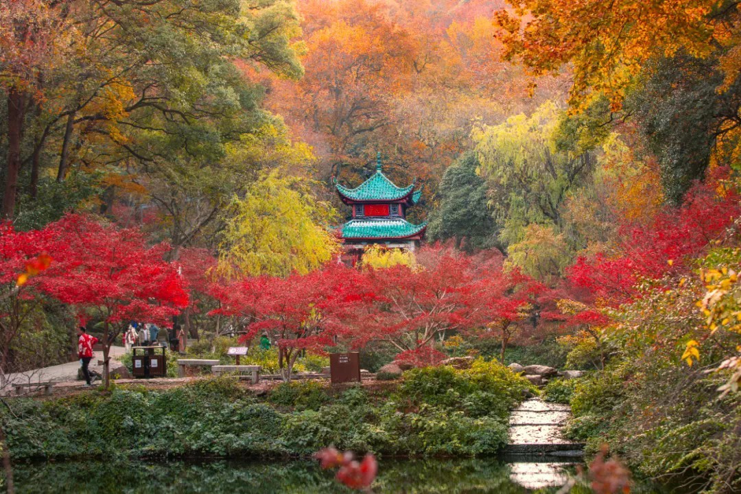 “万山红遍,层林尽染”的美景.jpg