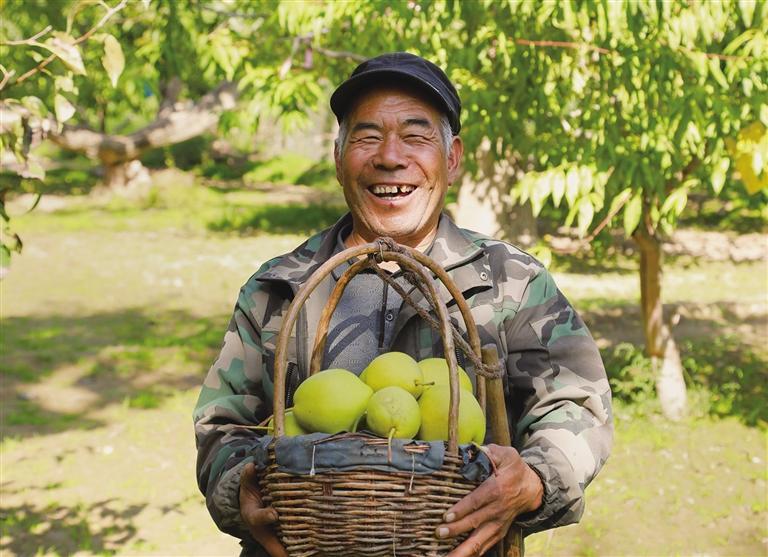 果农喜笑颜开