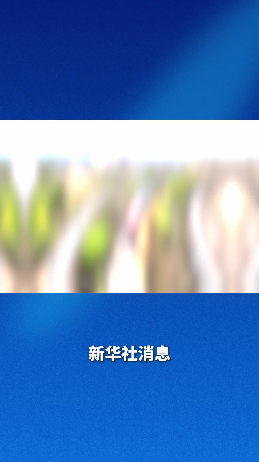 新华社消息｜中欧班列累计开行突破14万列