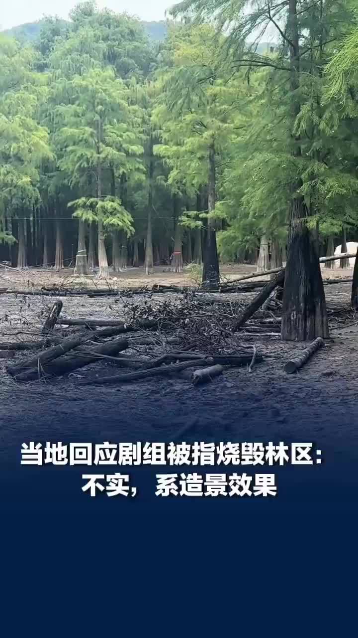 当地回应百妖谱剧组被指烧毁林区