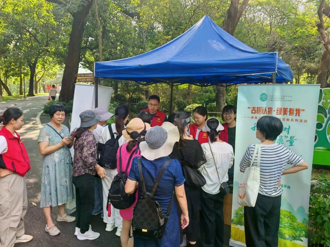 守护“绿色国宝” 中山开展古树名木保护科普宣传