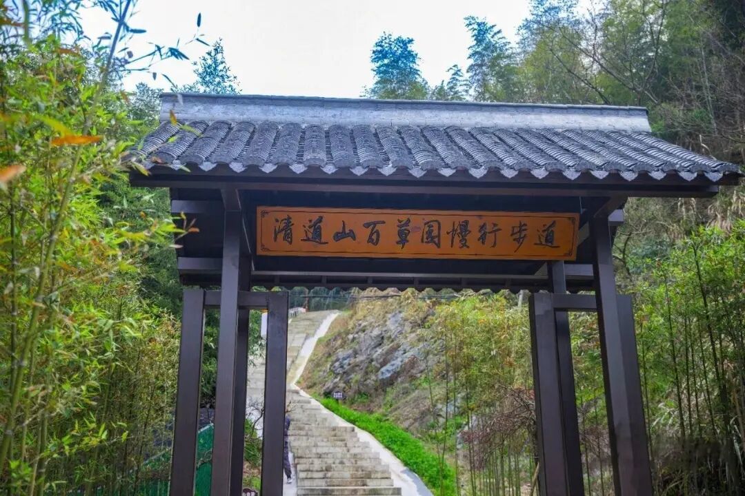 微信图片_2026-10-15_163618_141.jpg
