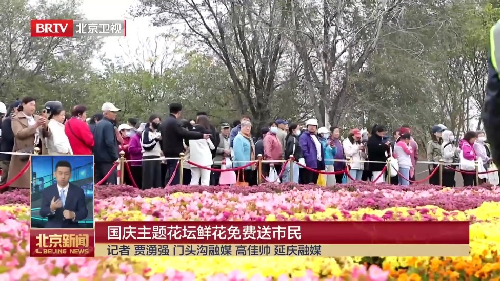 国庆主题花坛鲜花免费送市民