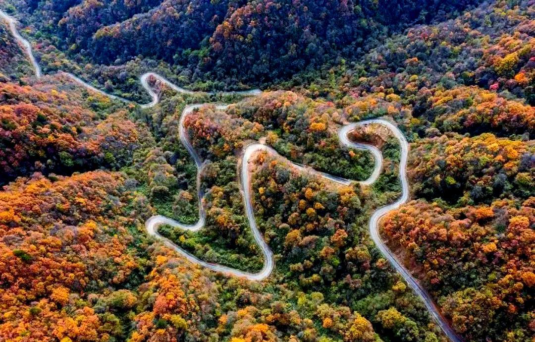 ▲六盘山上的盘山公路