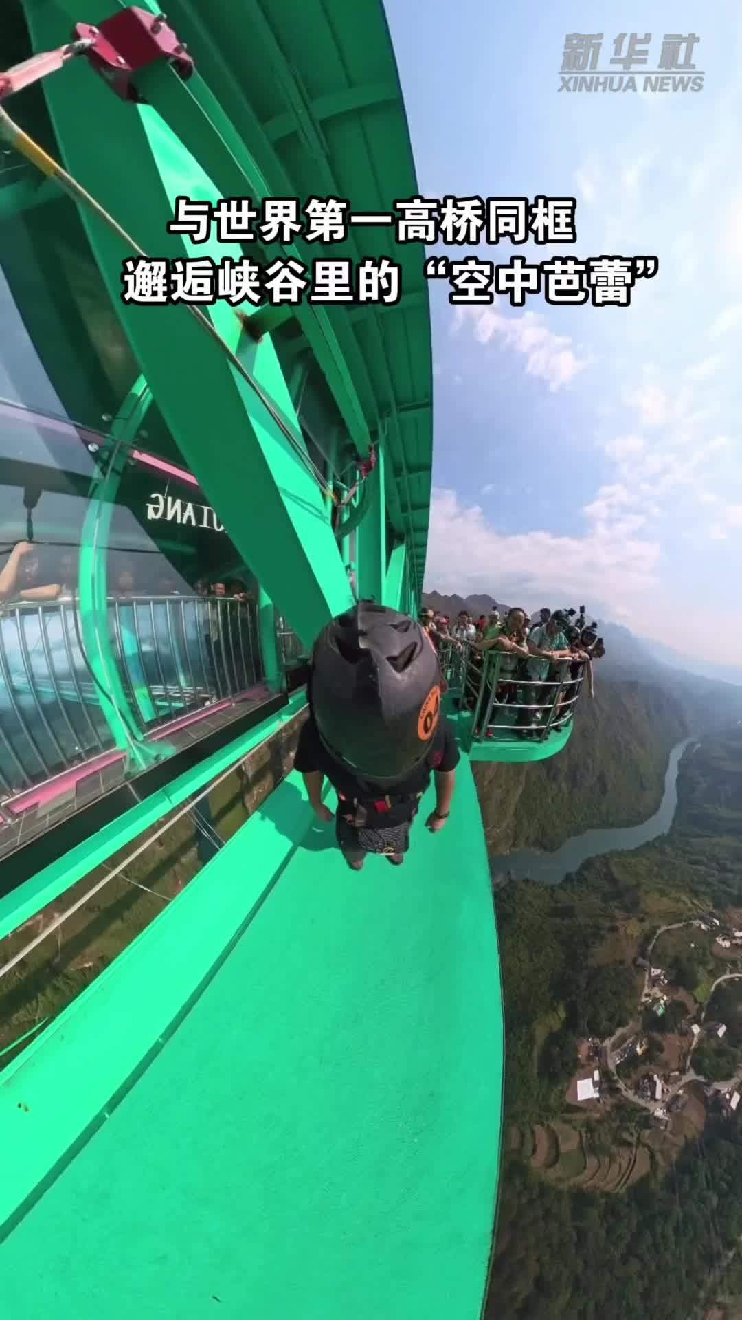 与世界第一高桥同框 邂逅峡谷里的“空中芭蕾”