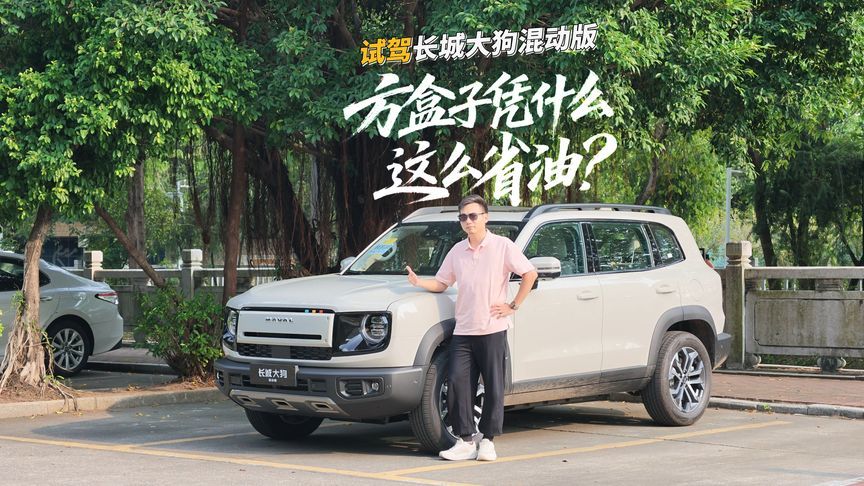 开得爽又开得省，10万级方盒子真能打，试驾长城大狗HEV混动版