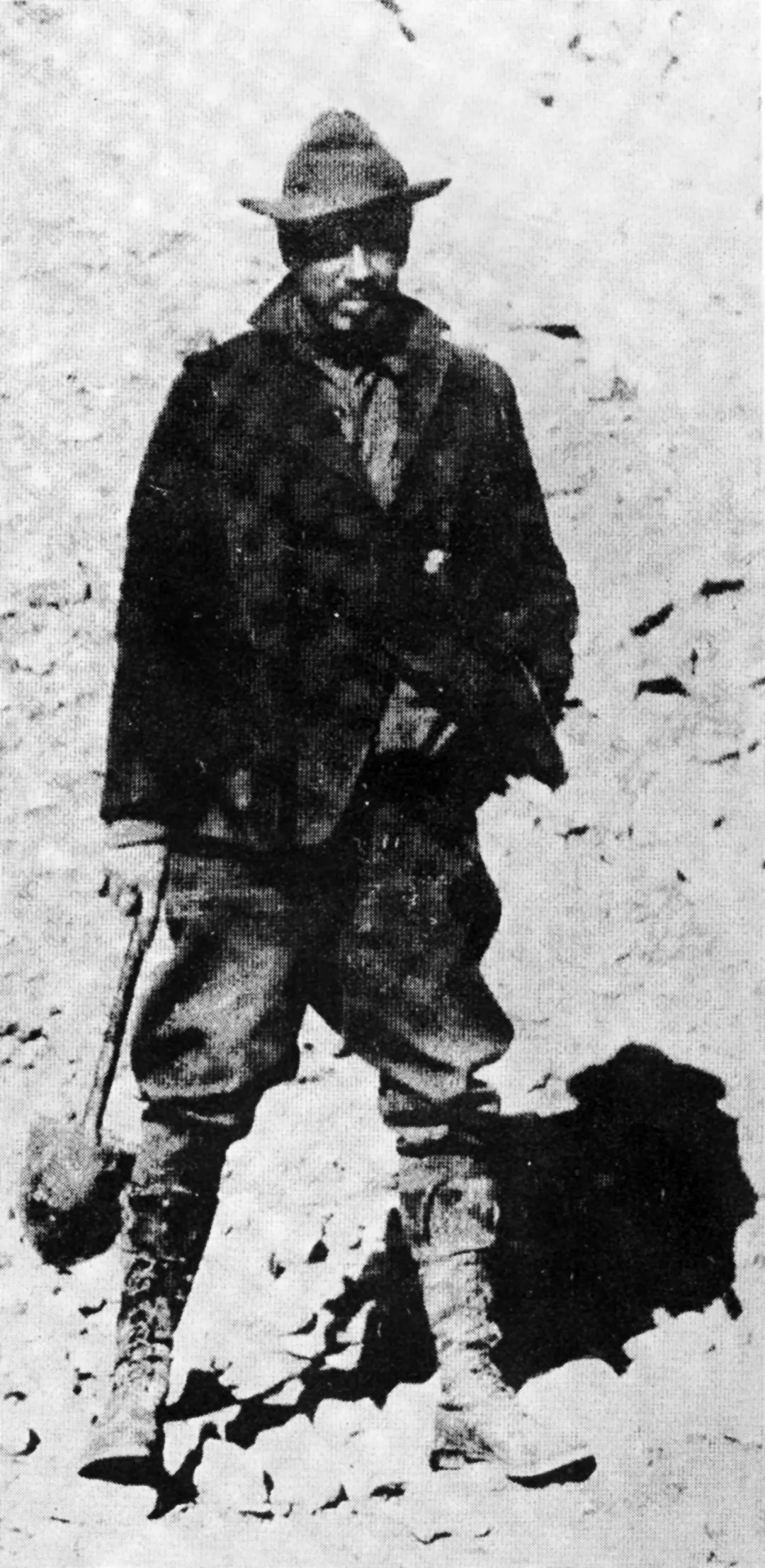 华尔纳.jpg