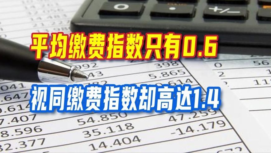 退休人员注意，平均缴费指数只有0.6，视同缴费指数却高达1.4