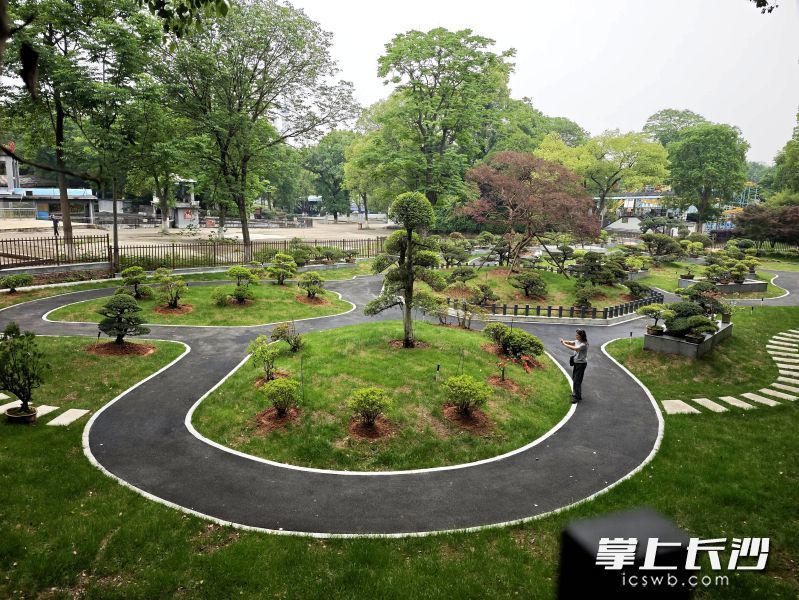 烈士公园游乐场的过山车拆除后,今年建成了绿化景观。