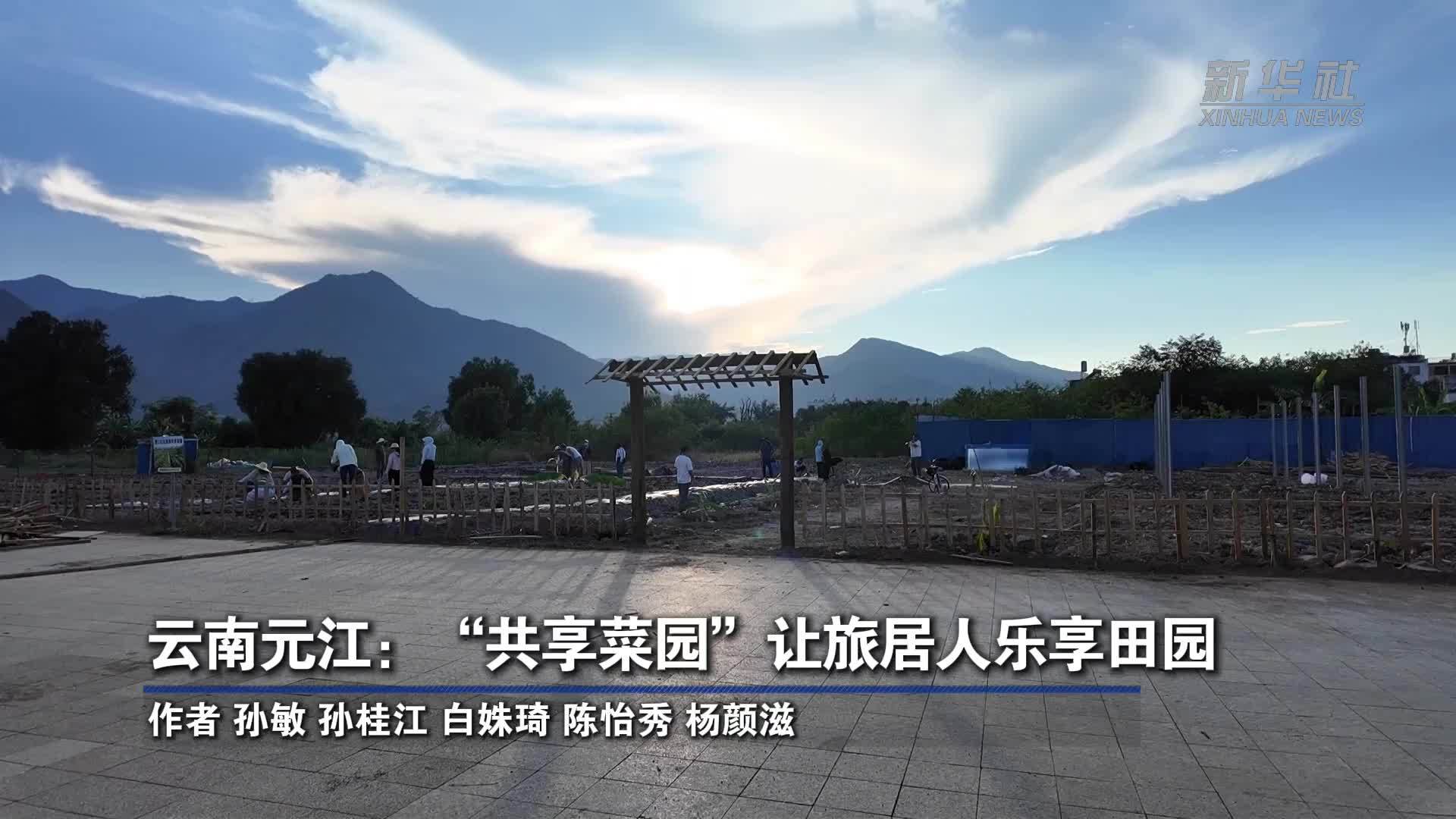 云南元江：“共享菜园”让旅居人乐享田园