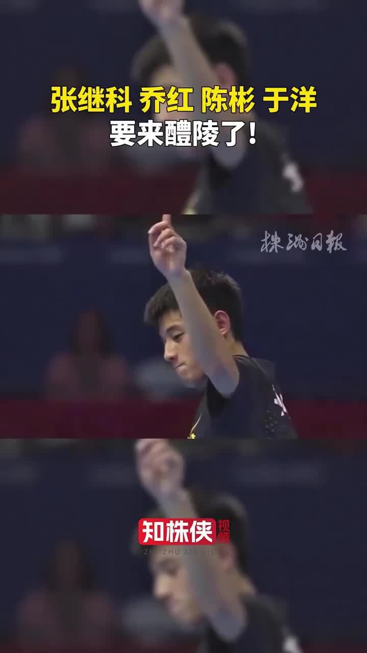 张继科 乔红 陈彬 于洋将来醴陵参加2026中国社区乒乓球联赛总决赛