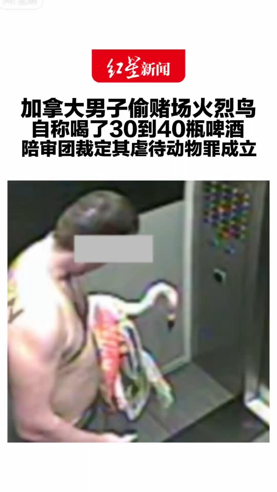 加拿大男子偷赌场火烈鸟 自称喝了30到40瓶啤酒 陪审团裁定其虐待动物罪成立 或面临近5年监禁