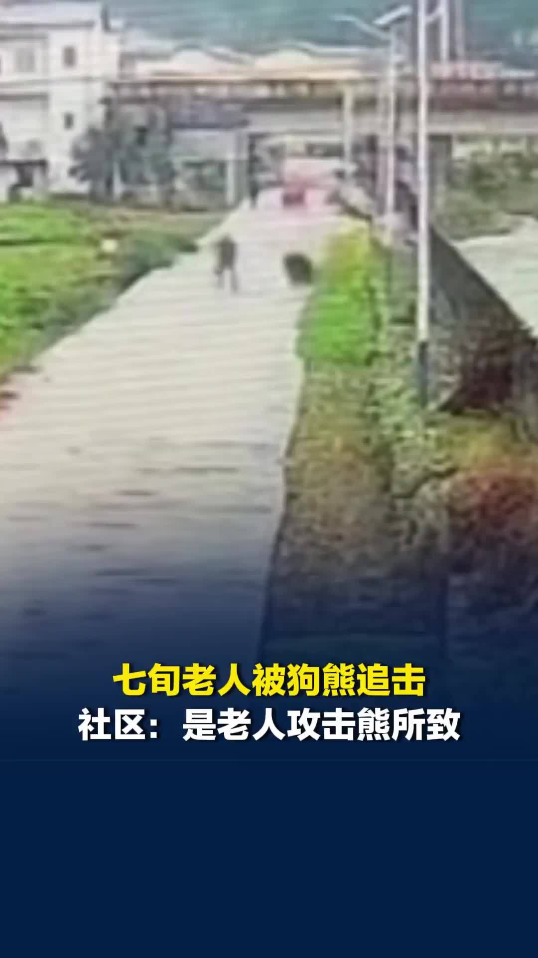 七旬老人被狗熊追击，社区：是老人攻击熊所致，人没受伤仅衣服被抓破