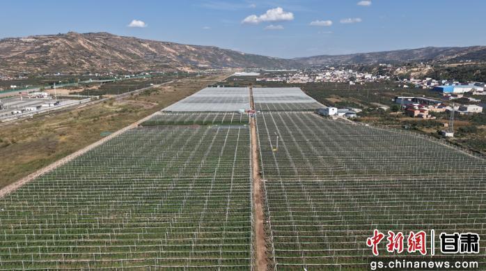 图为庄浪万泉苹果产业高新技术示范园 邵娟青 摄