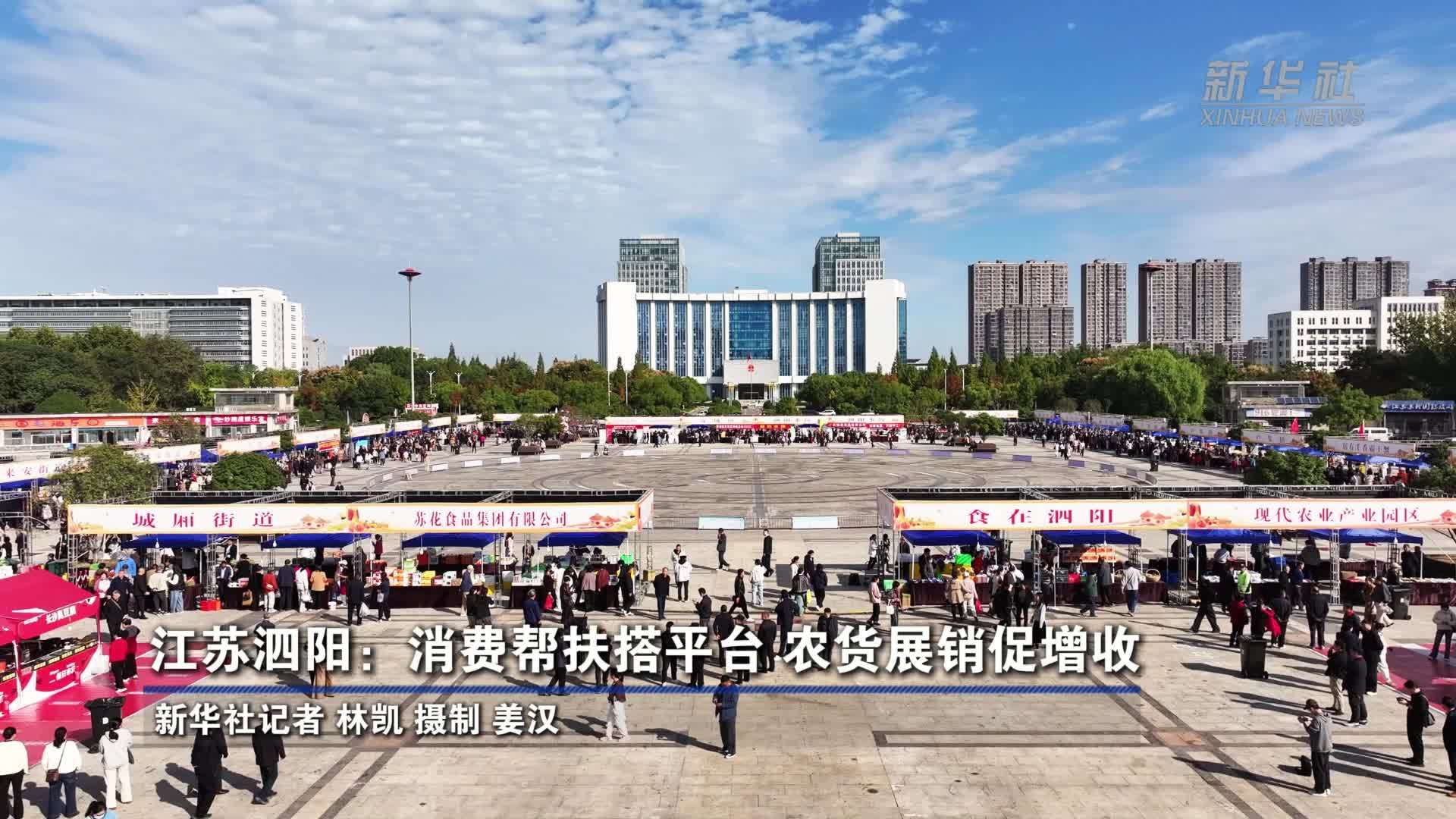 江苏泗阳：消费帮扶搭平台 农货展销促增收
