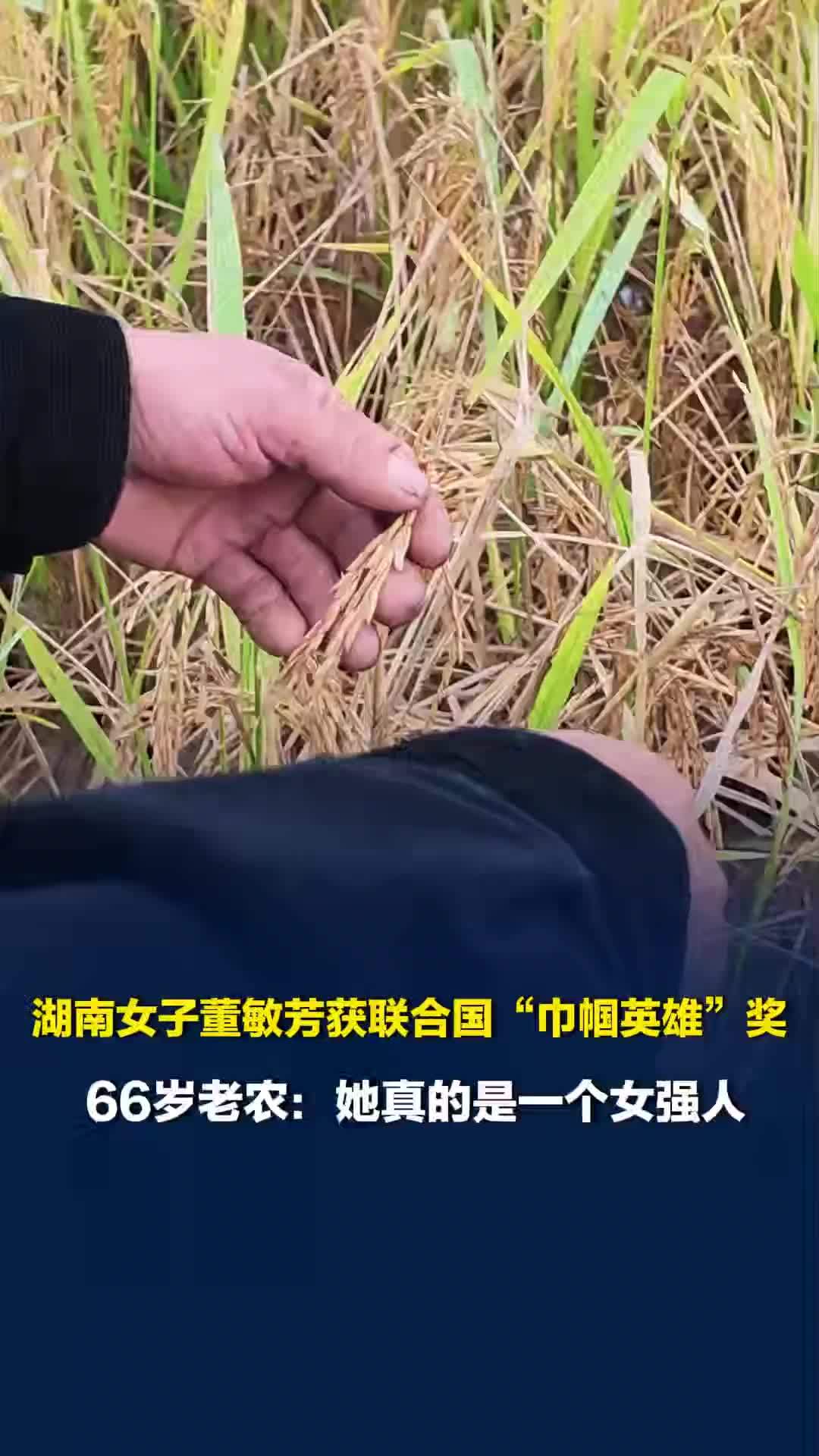 湖南女子董敏芳获评联合国“巾帼英雄”，放弃高管职位回乡带村民发展农业，被赞女强人