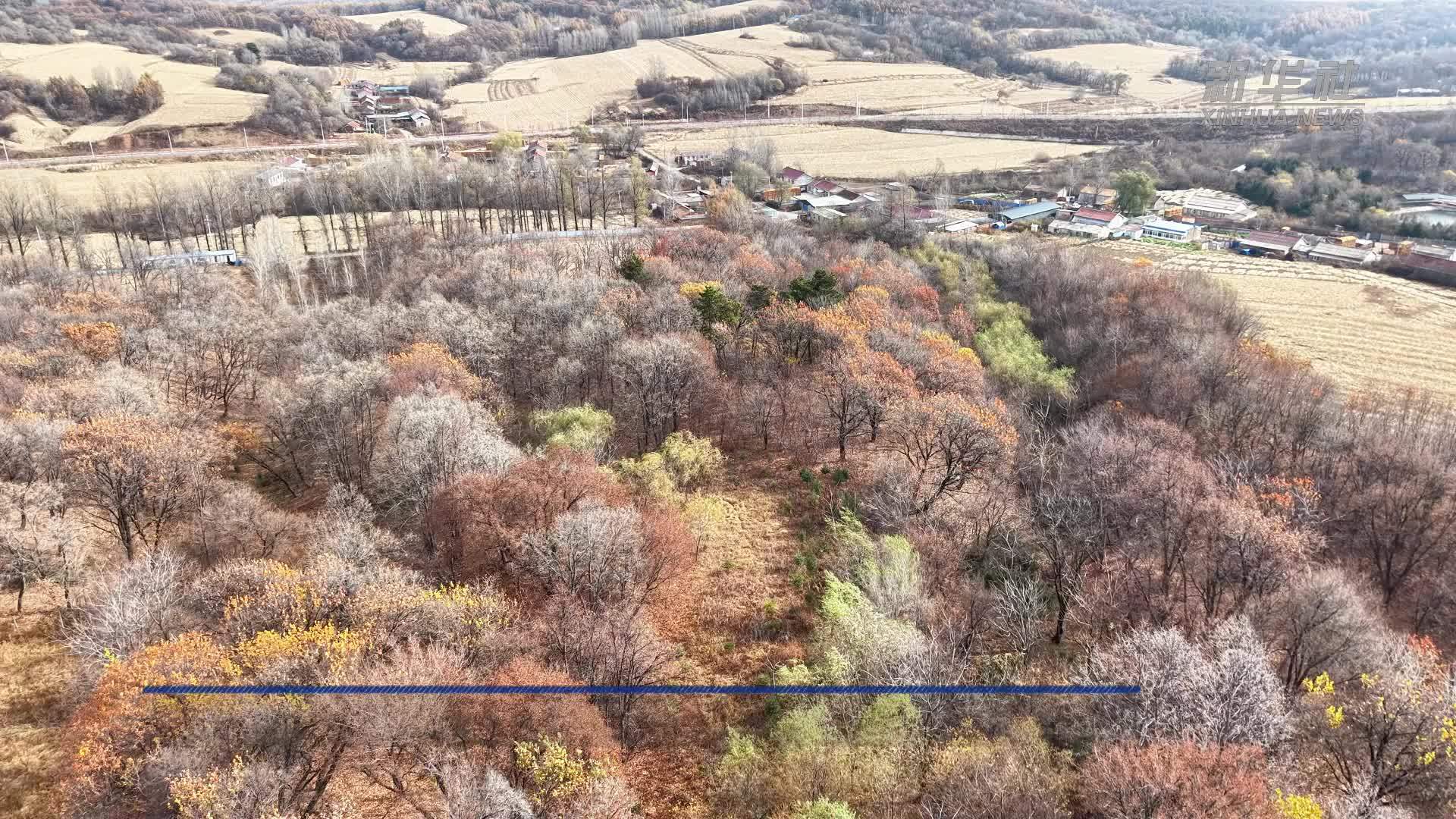 长春：把幼儿课堂搬进山野田间