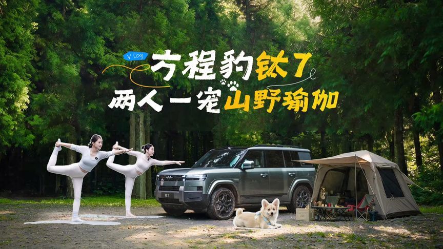 和钛7去野，姐妹携宠瑜伽局！云辇-C+天神之眼B+大平层，稳