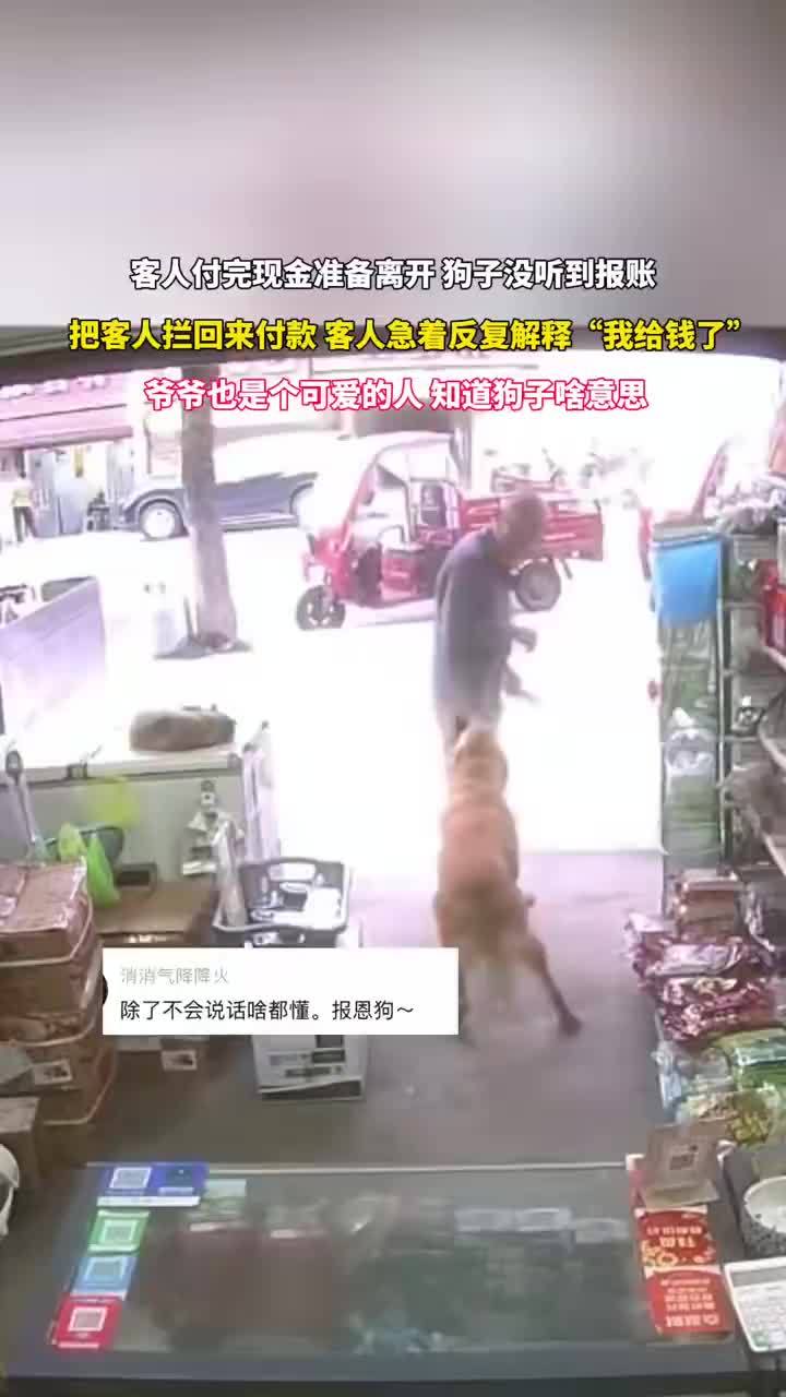 狗子没听到报账把客人拦回来付款