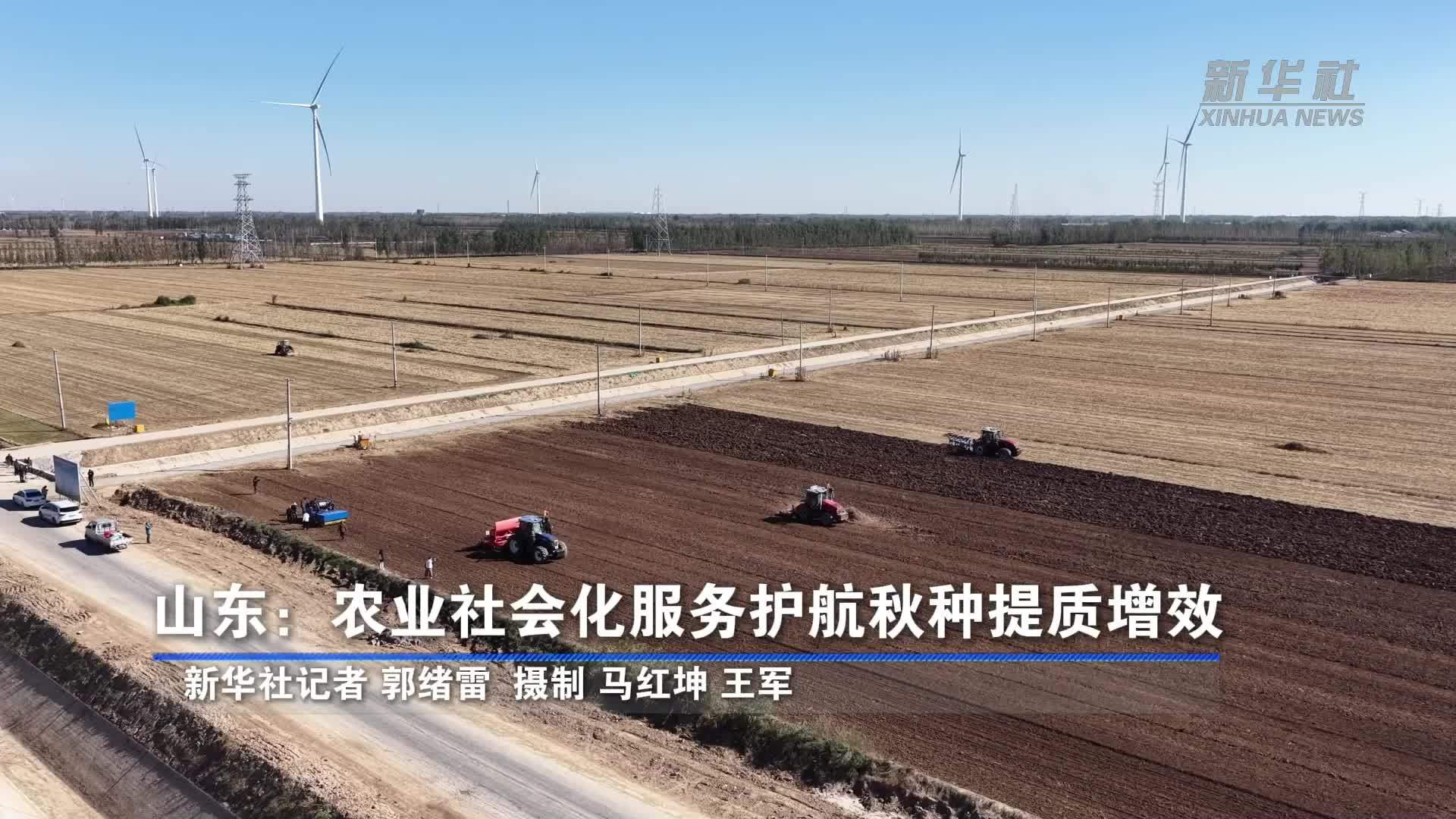 山东：农业社会化服务护航秋种提质增效