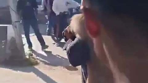 印度猴子咬伤十余人被游街拍打离谱!印度一猴子咬伤十余人,有居民悬赏3
