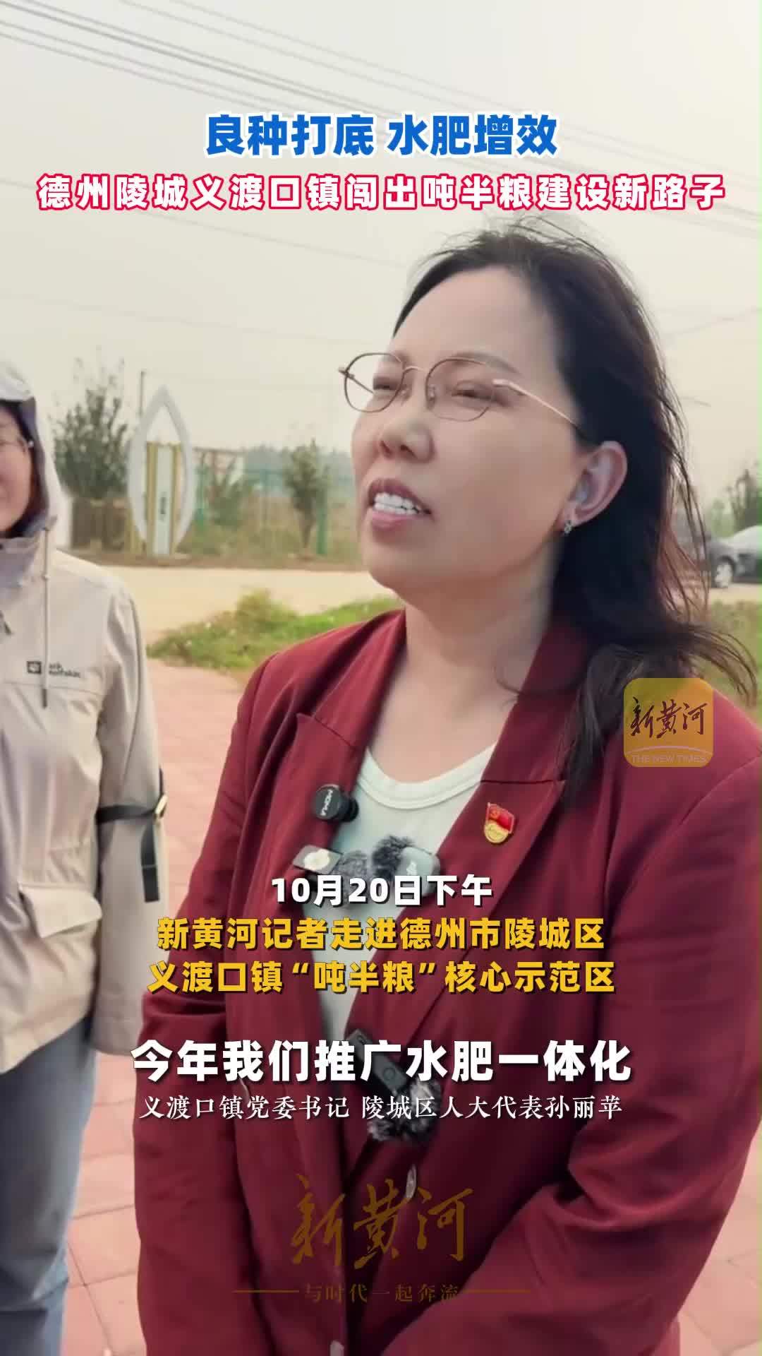 良种打底、水肥增效！德州陵城义渡口镇闯出吨半粮建设新路子