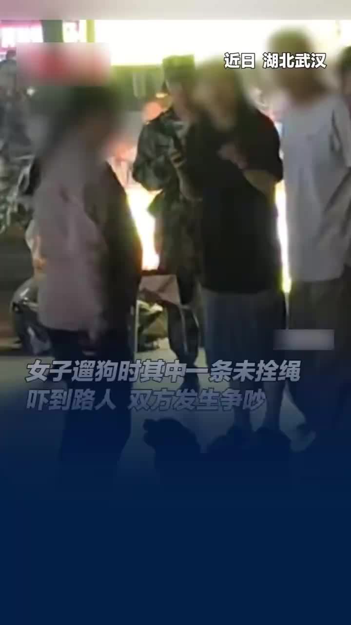 女子遛狗未牵绳吓到路人引争执
