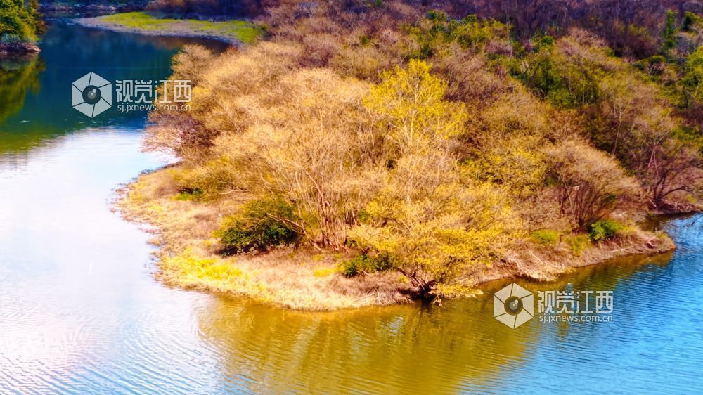 2026年10月18日在江西省吉安市吉水县水南镇水口村拍摄的画面。