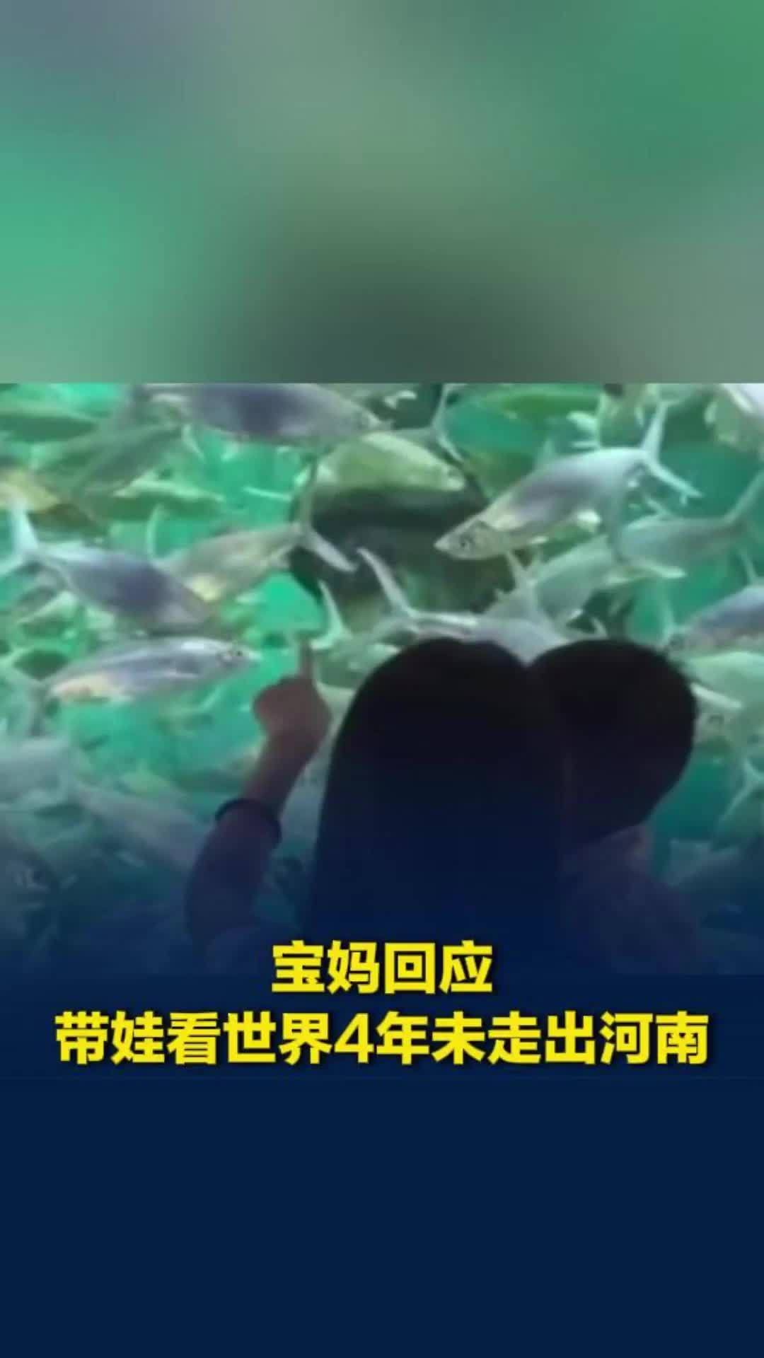 想“带娃看世界”结果4年未走出河南被网友调侃，孩子妈：一个人带娃出省太难