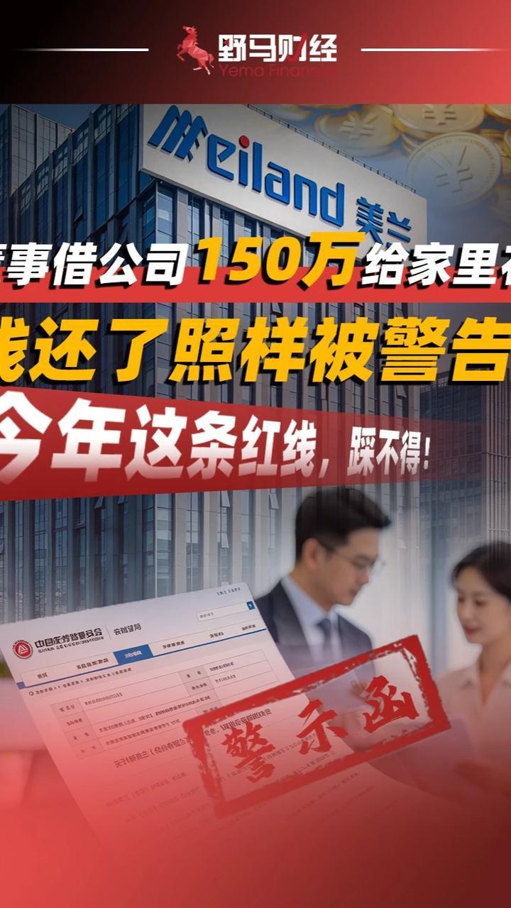 董事借公司150万给家里花，钱还了照样被警告！#上市公司 #财经