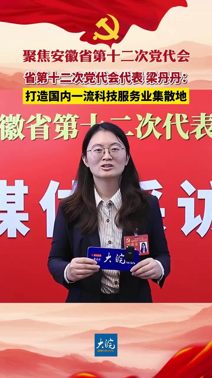 聚焦安徽省第十二次党代会|省第十二次党代会代表 梁丹丹：打造国内一流科技服务业集散地