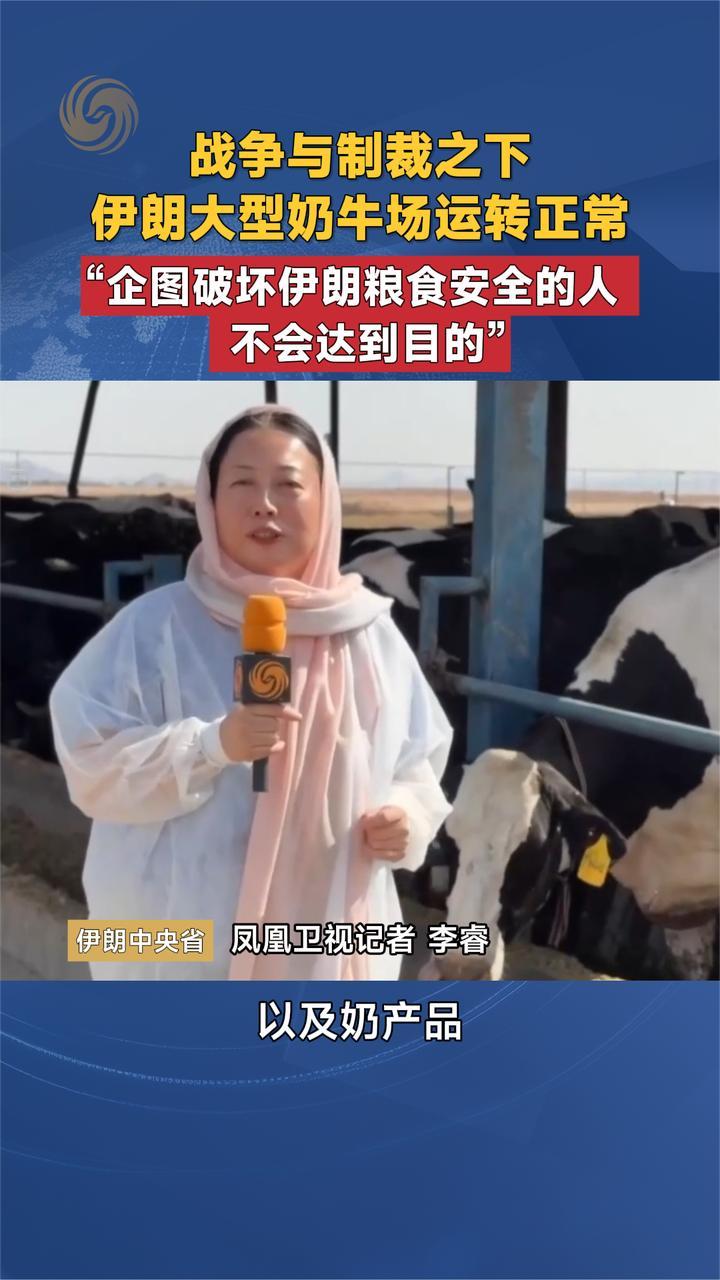 战争与制裁之下 伊朗大型奶牛场运转正常