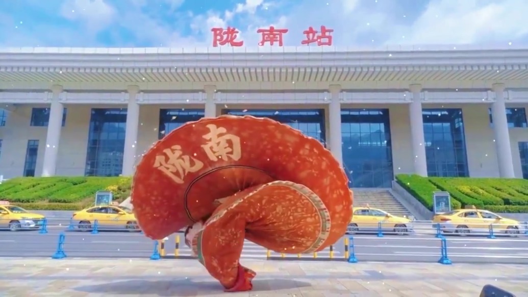 换个角度打开甘肃陇南　你会看到……