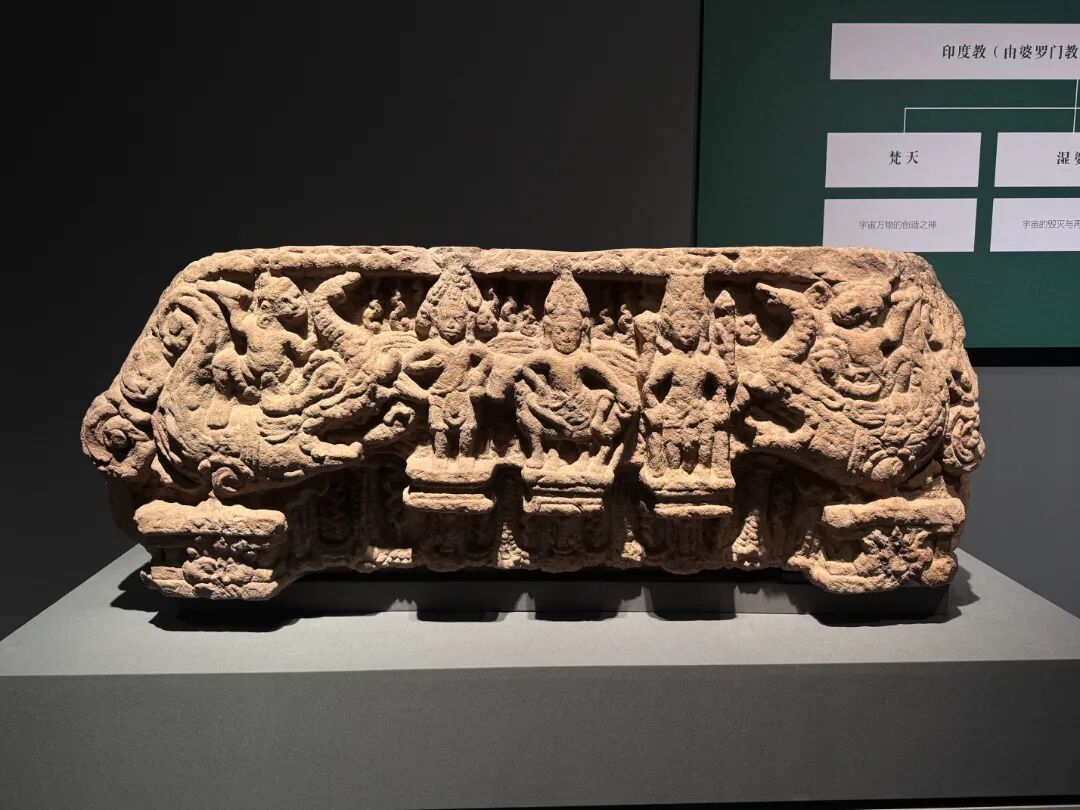 图片5.JPG